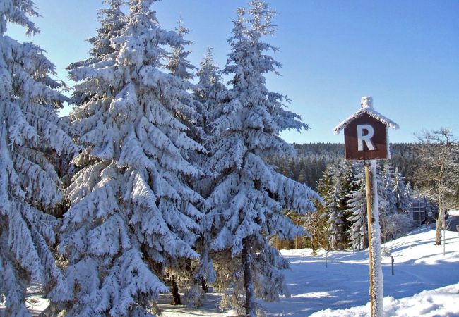 Festtage im Thüringer Wald